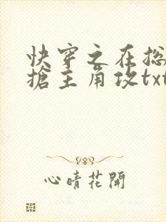 快穿之在总受文抢主角攻txt封面
