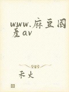 www.麻豆国产av封面