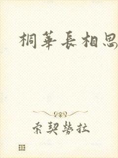 桐华长相思原著