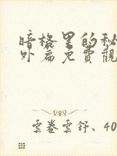 暗格里的秘密番外篇免费观看26集