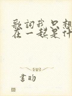 歌词我只想和你在一起是什么歌
