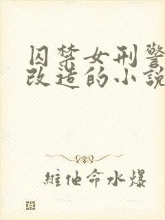 囚禁女刑警卧底改造的小说封面