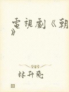 电视剧《朝雪录》