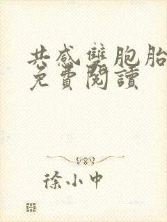 共感双胞胎小说免费阅读