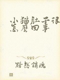 小猫肚子很胀是怎么回事