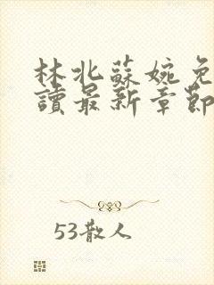 林北苏婉免费阅读最新章节笔趣阁