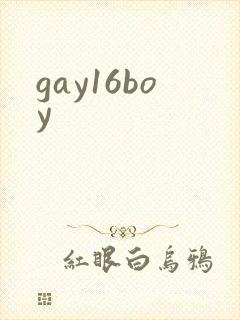 gay16boy