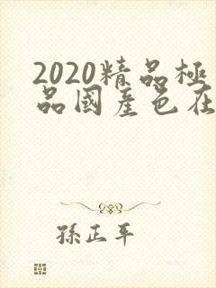 2020精品极品国产色在线,