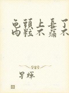 龟头上长了一颗肉粒不痛不痒