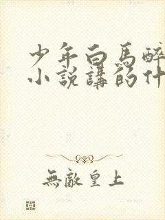 少年白马醉春风小说讲的什么封面