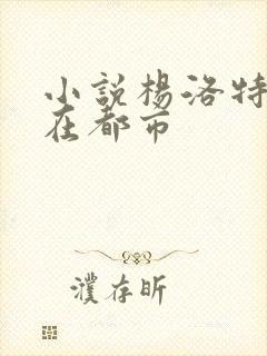 小说杨洛特种兵在都市