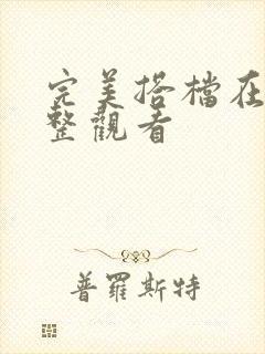 完美搭档在线完整观看