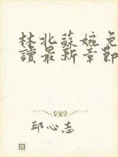 林北苏婉免费阅读最新章节