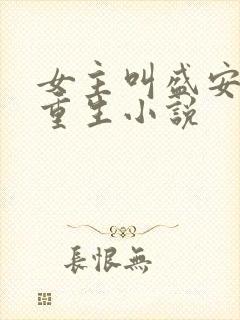 女主叫盛安宁的重生小说封面