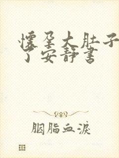 怀孕大肚子快生了安静书