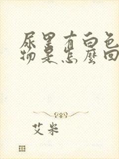 尿里有白色块状物是怎么回事