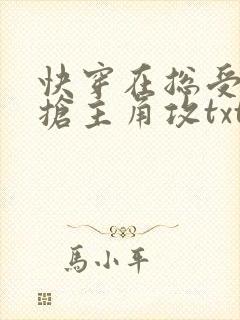 快穿在总受文里抢主角攻txt
