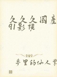 久久久国产精品91影视