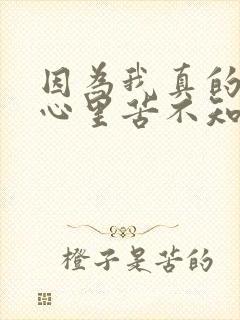 因为我真的好累心里苦不知说给谁封面