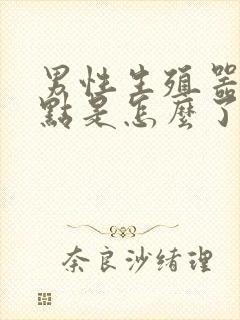 男性生殖器起红点是怎么了