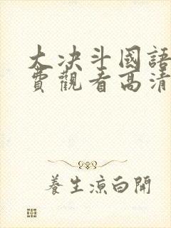 大决斗国语版免费观看高清封面