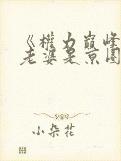 《权力巅峰:我老婆是京圈大小姐》封面