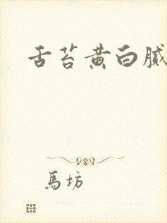 舌苔黄白腻齿痕