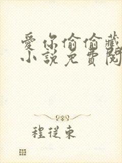 爱你偷偷藏不住小说免费阅读