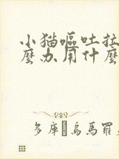 小猫呕吐拉稀怎么办用什么药