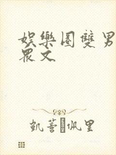 娱乐圈双男主小众文封面