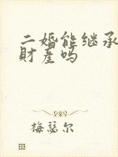 二婚能继承婚前财产吗