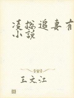 凌总追妻有点甜小说