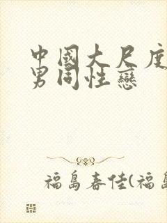 中国大尺度激情男同性恋封面