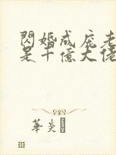 闪婚成庞老公竞是千亿大佬