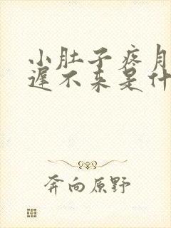 小肚子疼月经迟迟不来是什么原因