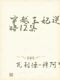 穿越王妃逆袭攻略12集封面
