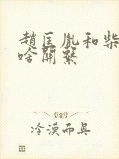 赵匡胤和柴荣是啥关系封面