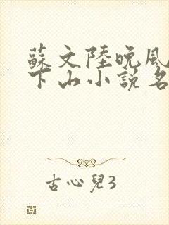 苏文陆晚风阎王下山小说名