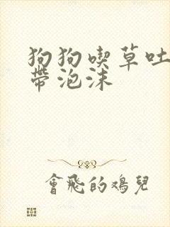 狗狗吃草吐黄水带泡沫