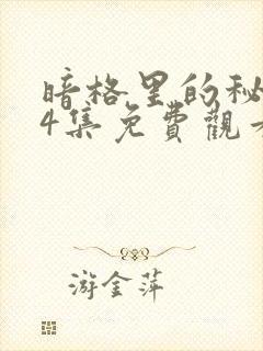 暗格里的秘密24集免费观看