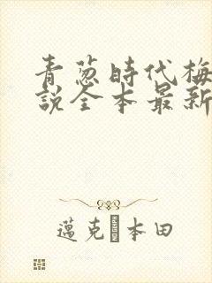 青葱时代梅姨小说全本最新章节