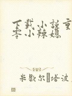 下载小说重生八零小辣媳