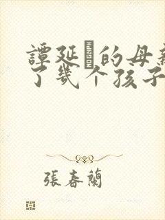 谭延闿的母亲生了几个孩子