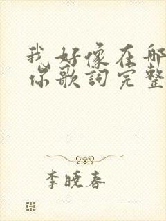 我好像在哪见过你歌词完整版