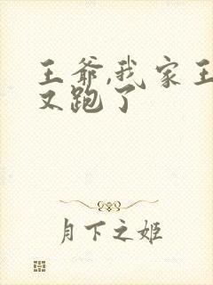 王爷,我家王妃又跑了封面