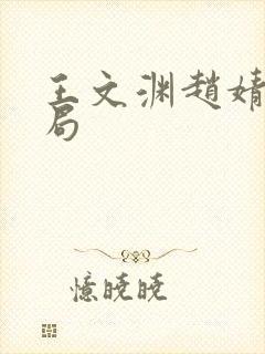 王文渊赵婧大结局