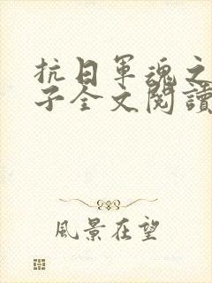 抗日军魂之二愣子全文阅读