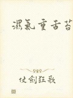 湿气重舌苔白黄