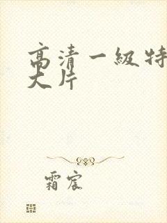 高清一级特黄a大片