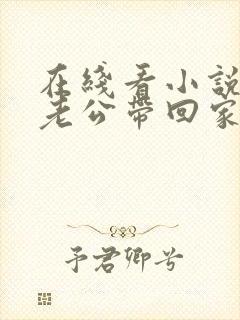 在线看小说国民老公带回家